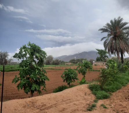 WhatsApp-Image-2024-08-11-at-4.35.24-PM