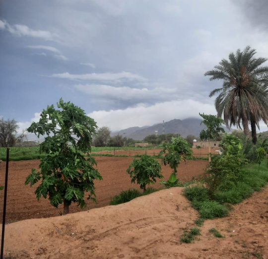 WhatsApp-Image-2024-08-11-at-4.35.24-PM