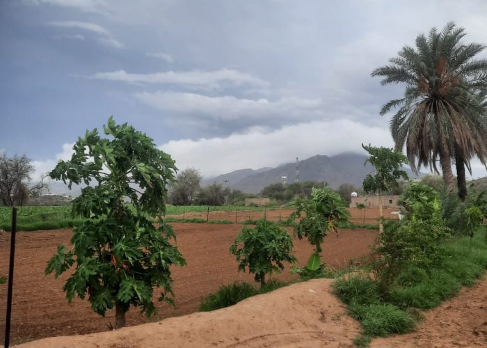 WhatsApp-Image-2024-08-11-at-4.35.24-PM