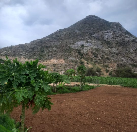 WhatsApp-Image-2024-08-11-at-4.35.26-PM-1 (1)